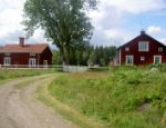 Schwedenbilder anklicken um zu vergr�ssern