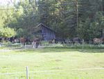 Schwedenbilder anklicken um zu vergr�ssern