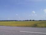 Schwedenbilder anklicken um zu vergr�ssern