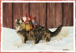 Tomtar auf Katze 