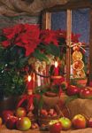 Click to see big christmas picture