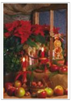 Weihnachtsstern