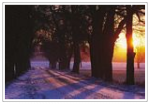 Winterlandschaft bei tief stehender Sonne