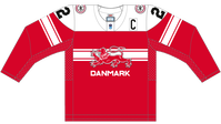 Trikot Dänemark away Trikot Dänemark away