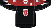 Japan Trikot Away